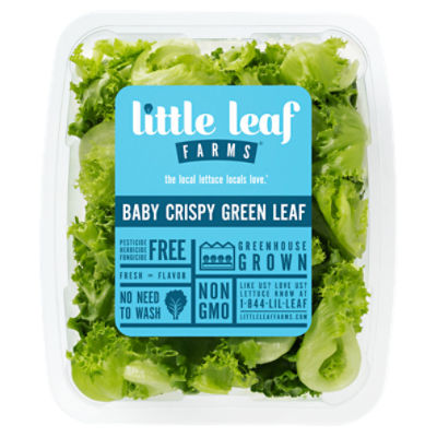 Save on Little Leaf Farms Baby Crispy Green Leaf Lettuce Order Online  Delivery