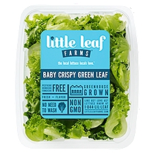 Little Leaf Farms Baby Crispy Green Leaf, 4 oz