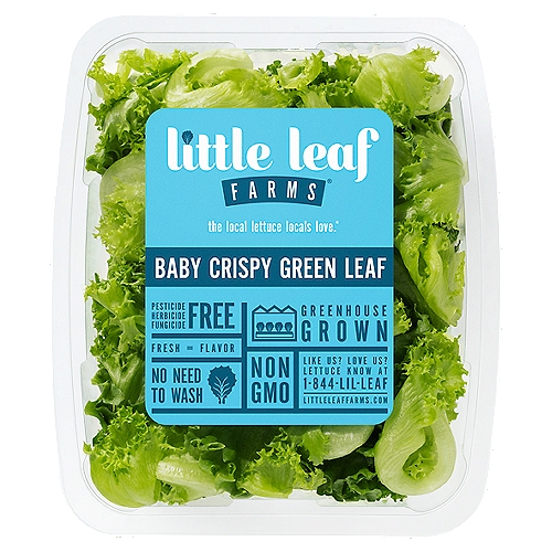 Little Leaf Farms Baby Crispy Green LeafnThe local lettuce locals love.®nnWelcome to Greater Greens™nWonderfully Fresh and CrispnPesticide-Free and Non-GMOnGreenhouse-Grown Using Sunlight and Recycled RainwaternHarvested and Delivered Daily