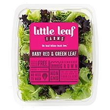 Little Leaf Farms Baby Red & Green Leaf, 4 Ounce