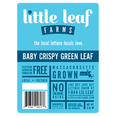 Little Leaf Farms Lettuce 8 oz.