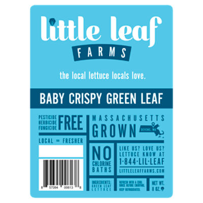 New Product Launch: Sweet Baby Butter Leaf - Little Leaf Farms