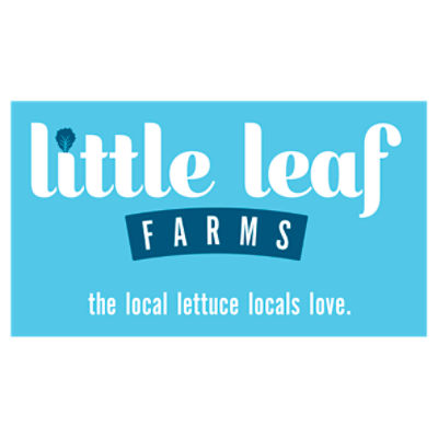 Little Leaf Farms Lettuce, Baby Crispy, Green Leaf 4 Oz