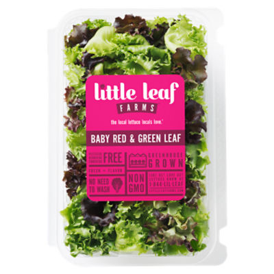 Little Leaf Baby Red & Green Leaf, 4 Oz - : Online Kosher  Grocery Shopping and Delivery Service in New York City