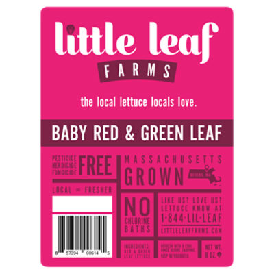 Little Leaf Farms Baby Red & Green Leaf, 8 oz