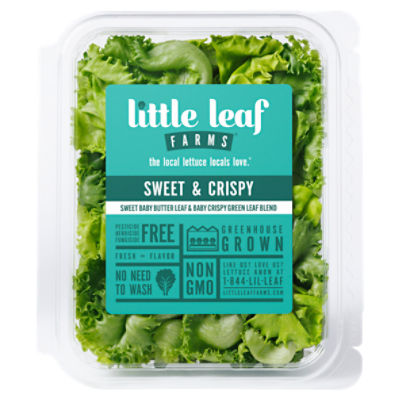 Little Leaf Farms Sweet Baby Butter Leaf & Baby Crispy Green Leaf Blend, 4 oz, 4 Ounce
