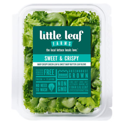 Little Leaf Farms Sweet Baby Butter Leaf & Baby Crispy Green Leaf Blend, 4 oz, 4 Ounce