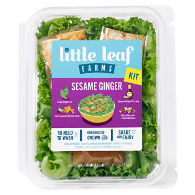 Little Leaf Farms Sesame Ginger Kit, 6.5 oz, 1 Each