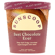 Sunscoop Best Chocolate Ever Dairy-Free Dessert, 1 pint