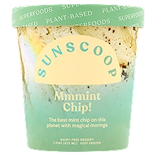 Sunscoop Mmmint Chip! Dairy-Free Dessert, 1 pint