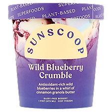 Sunscoop Wild Blueberry Crumble Dairy-Free Dessert, 1 pint