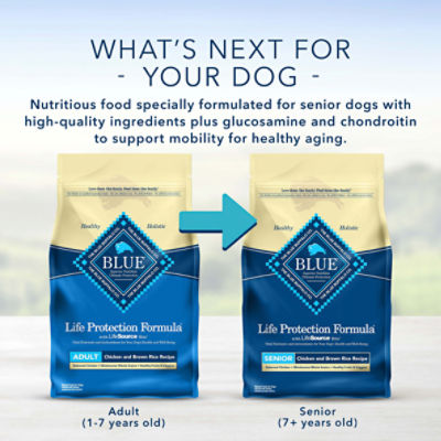 Blue buffalo life 2024 protection senior dog food