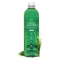 Chlorophyll Water Enhanced Purified Mountain Spring + Vitamins, Water Beverage, 16.9 Fluid ounce