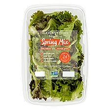 Element Farms Baby Lettuces and Seasonal Greens Spring Mix, 10 oz