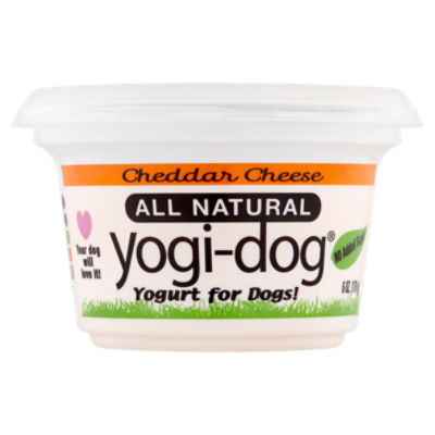 Best yogurts hot sale for dogs