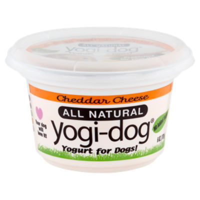 Natural yogurt for sales dogs