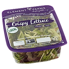 Element Farms Crispy Lettuce, 4.5 oz