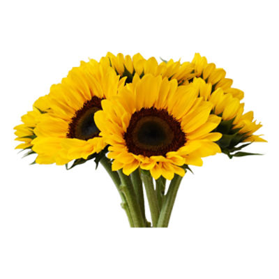 The Floral Shoppe Premium Sunflower Bunch