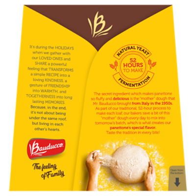 Bauducco Chocolate Chips Panettone 16 oz (453g) – Amigo Foods Store