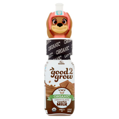 good2grow Organic Chocolate Milk, 8 fl oz