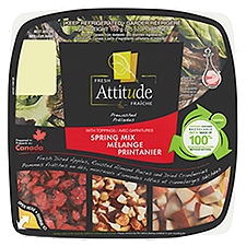 Fresh Attitude Spring Mix with Toppings, 5.5 oz, 5.5 Ounce