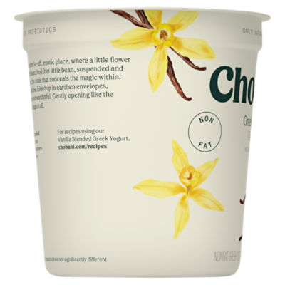 Chobani vanilla store greek yogurt