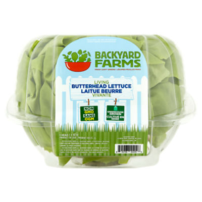 Backyard Farms Living Butterhead Lettuce