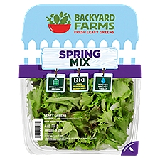 Backyard Farms Spring Mix Leafy Greens, 4 oz