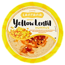 Eat Well Enjoy Life Hummus - Spicy Yellow Lentil, 10 Ounce
