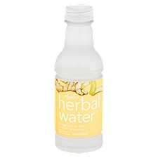 Ayala's Herbal Water Ginger Lemon Peel Pure, Water Beverage, 16 Fluid ounce