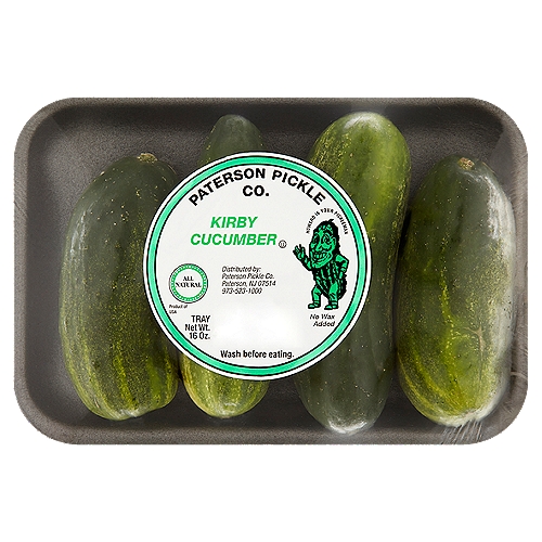 Paterson Pickle Co. Kirby Cucumber, 16 oz