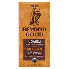 Beyond Good Salted Caramel Single Origin, Chocolate, 2.64 Ounce