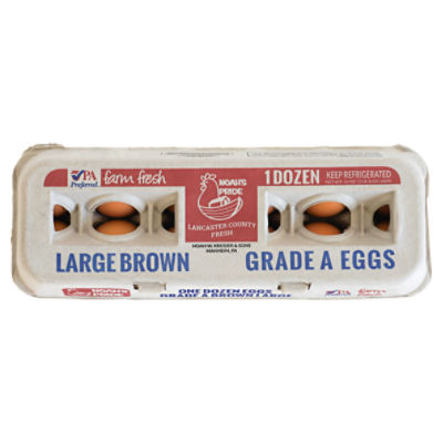 Noah's Pride Brown Grade A Eggs, Large, 12 Count, 24 oz