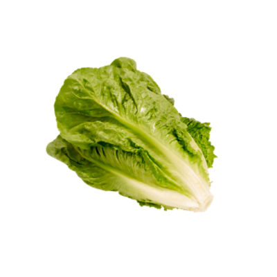 Pacific Romaine Hearts, 6 ct, 36 oz