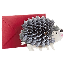 Hallmark  Birthday Card (3D Honeycomb Hedgehog)