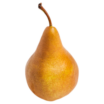 Fresh Bosc Tote Pears