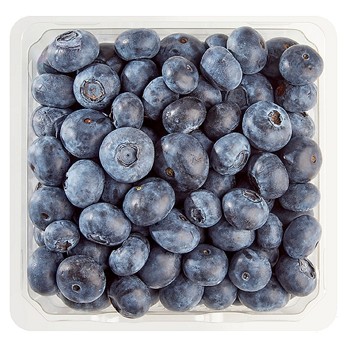 Fresh Blueberries, 6 oz
