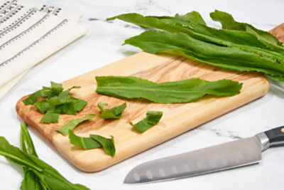 Fresh Recaito Leaf, bunch