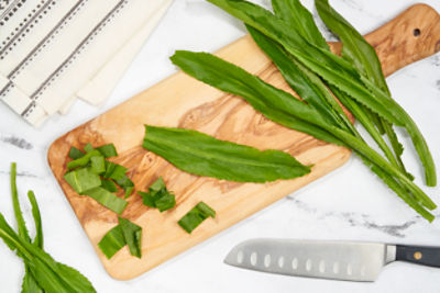 Fresh Recaito Leaf, bunch