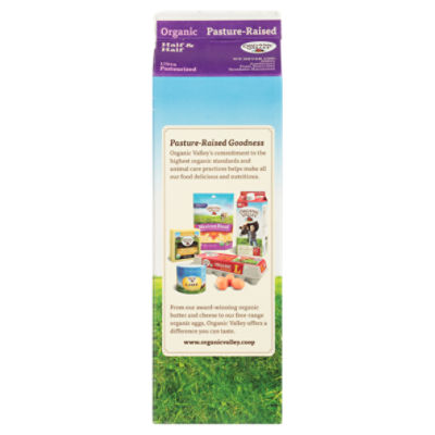 Buy Apraa & Parma Pack Of 2 Full Coverage Seamless Organic