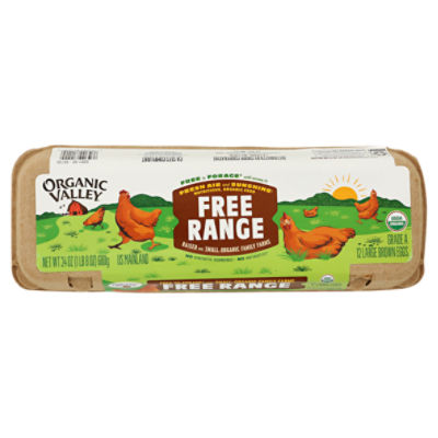 Organic Valley Free Range Large Brown Eggs, 12 Count, 24 oz