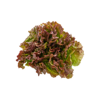 Organic Red Leaf Lettuce, 1 ct, 9 oz