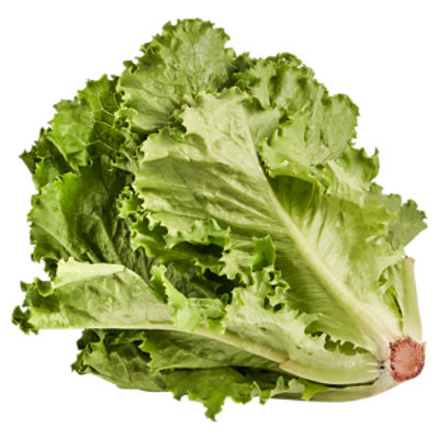 Fresh Organic Green Leaf Lettuce, 9 oz
