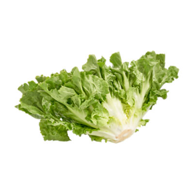 Fresh Organic Escarole