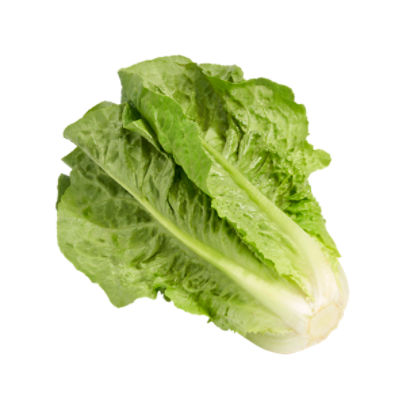 Organic Romaine Lettuce, 1.3 pound