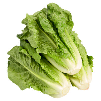 Fresh Organic Romaine Lettuce, each