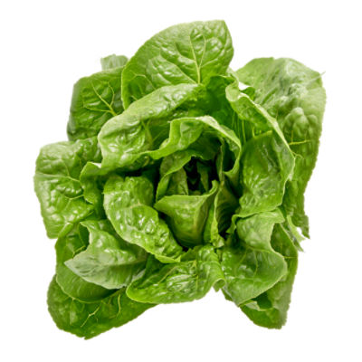 Fresh Organic Romaine Lettuce, each