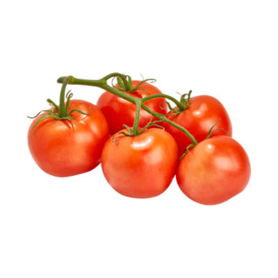 Fresh Organic Tomato on the Vine