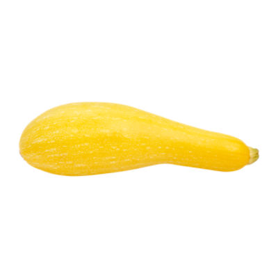 Fresh Organic Yellow Squash