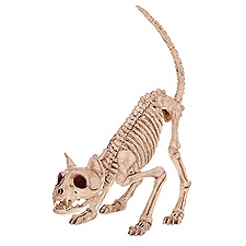 Far East Halloween Cat Skeleton Decor, 1 Each